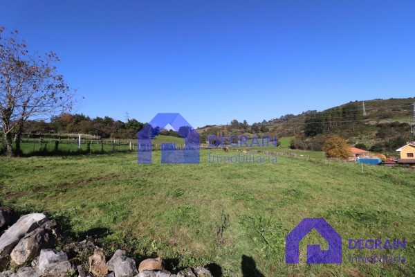 LA MEJOR FINCA EN TAHOCES - LAS REGUERAS - Inmobiliaria Degrain