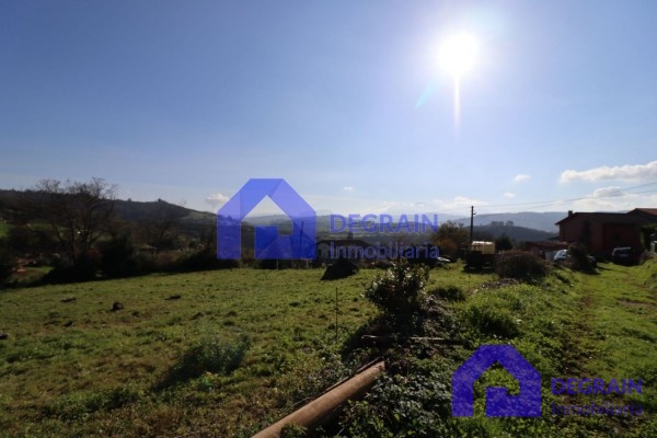 LA MEJOR FINCA EN TAHOCES - LAS REGUERAS - Inmobiliaria Degrain