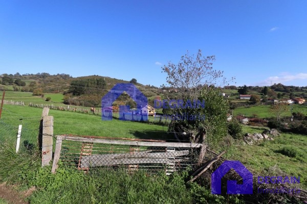 LA MEJOR FINCA EN TAHOCES - LAS REGUERAS - Inmobiliaria Degrain